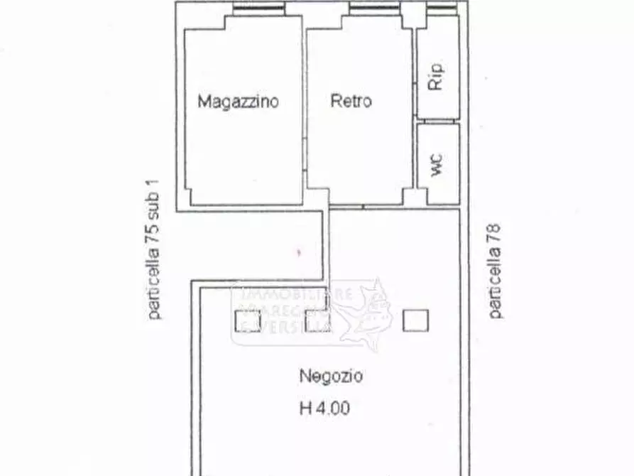 Immagine 3 di Negozio in vendita  in viale Giosuè Carducci a Viareggio