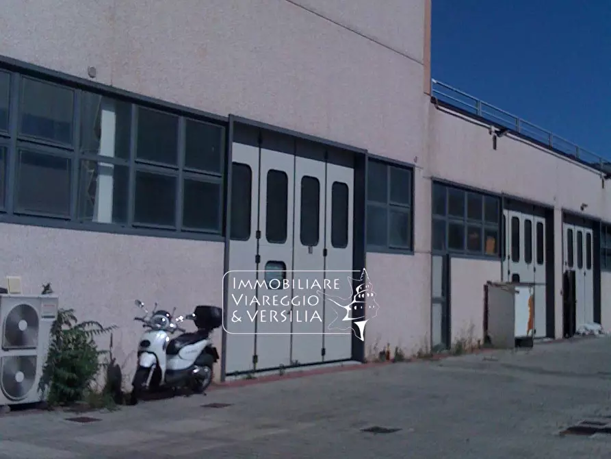 Immagine 1 di Magazzino in affitto  in via Libeccio a Viareggio