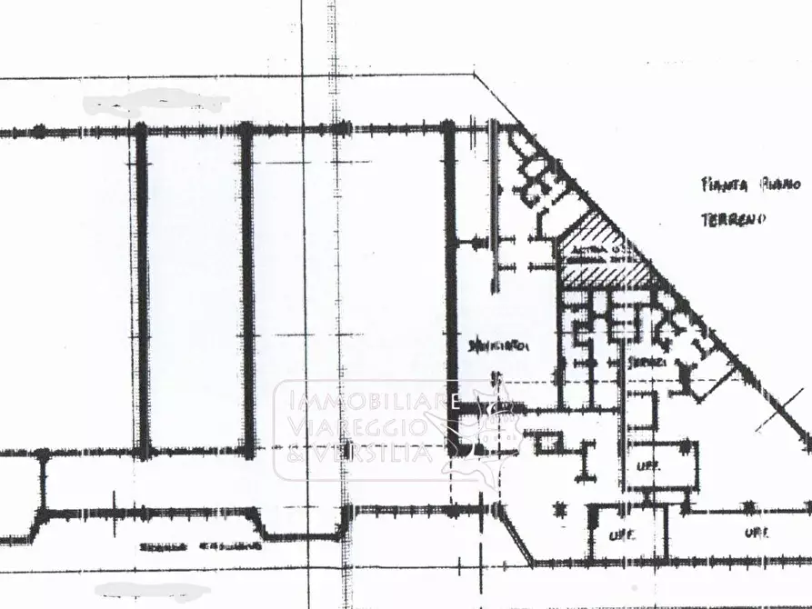 Immagine 2 di Negozio in affitto  in via Bottego a Viareggio