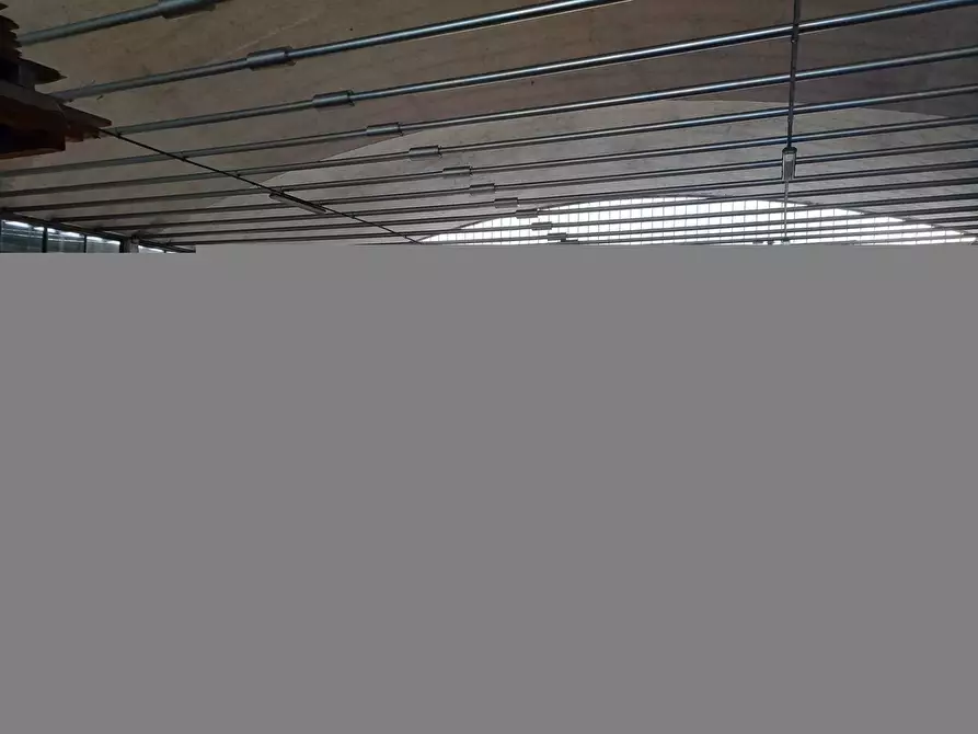 Immagine 3 di Magazzino in vendita  in via dei Falegnami a Camaiore
