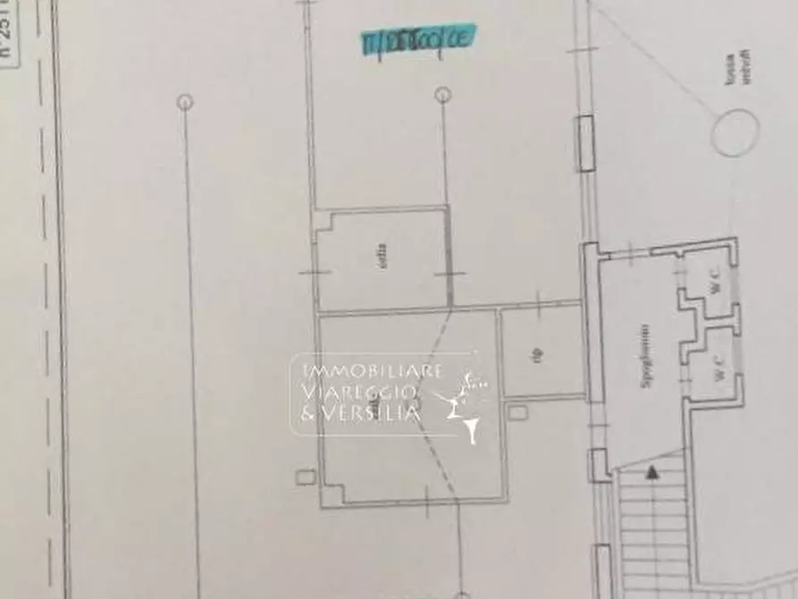 Immagine 2 di Laboratorio in vendita  in via dei Peecchi a Viareggio