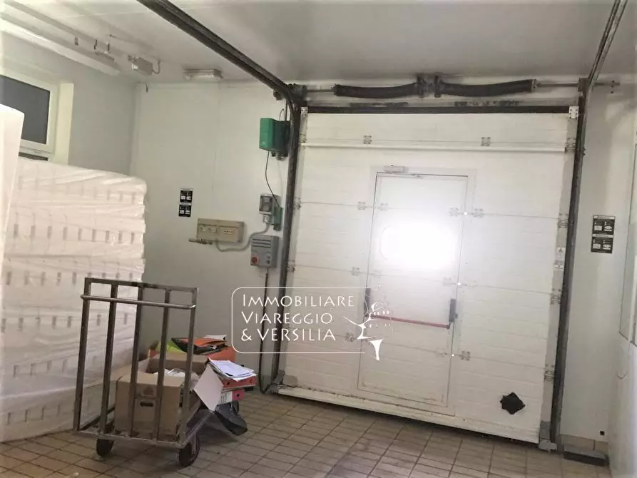 Immagine 3 di Laboratorio in vendita  in via dei Peecchi a Viareggio