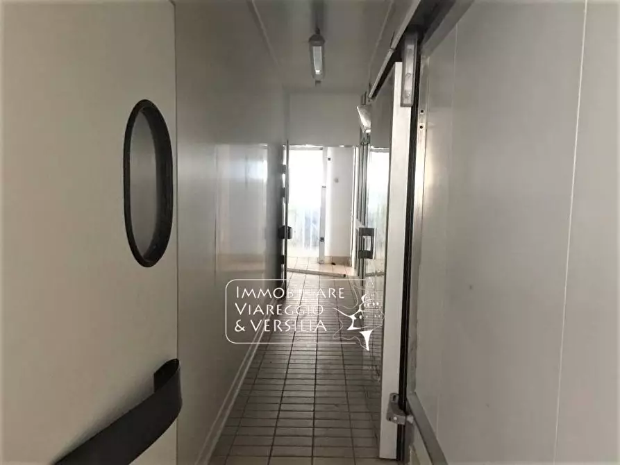 Immagine 5 di Laboratorio in vendita  in via dei Peecchi a Viareggio