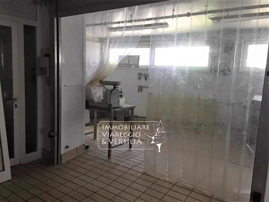 Immagine 6 di Laboratorio in vendita  in via dei Peecchi a Viareggio