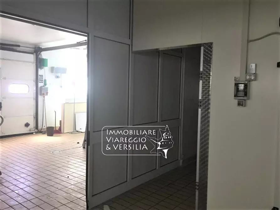 Immagine 8 di Laboratorio in vendita  in via dei Peecchi a Viareggio