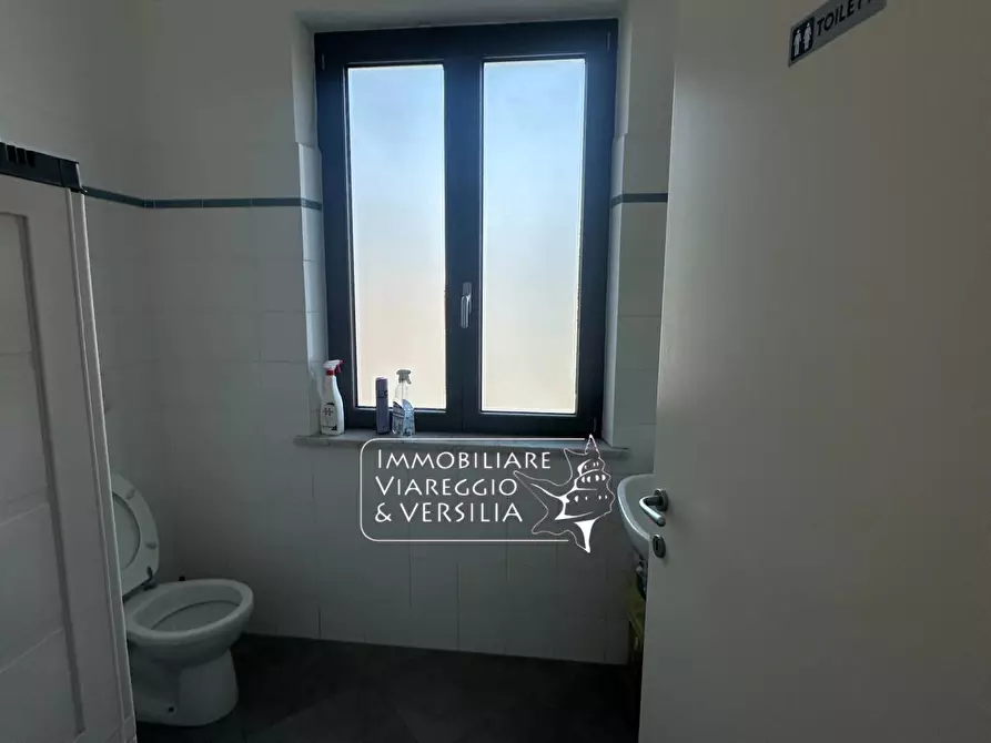 Immagine 8 di Capannone industriale in affitto  in via Italica a Camaiore