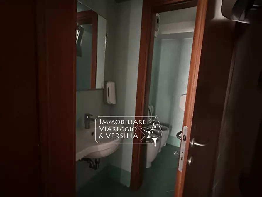 Immagine 11 di Capannone industriale in affitto  in via XX settembre a Viareggio