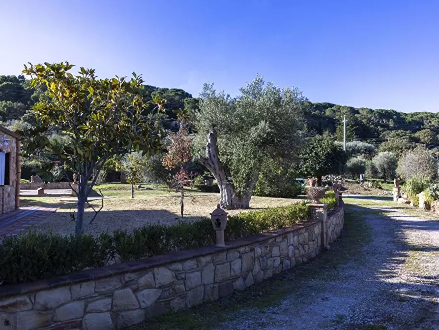 Immagine 7 di Villa in vendita  in dell'Istrice a Cefalù