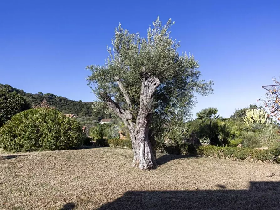 Immagine 9 di Villa in vendita  in dell'Istrice a Cefalù