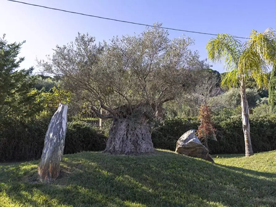 Immagine 15 di Villa in vendita  in dell'Istrice a Cefalù