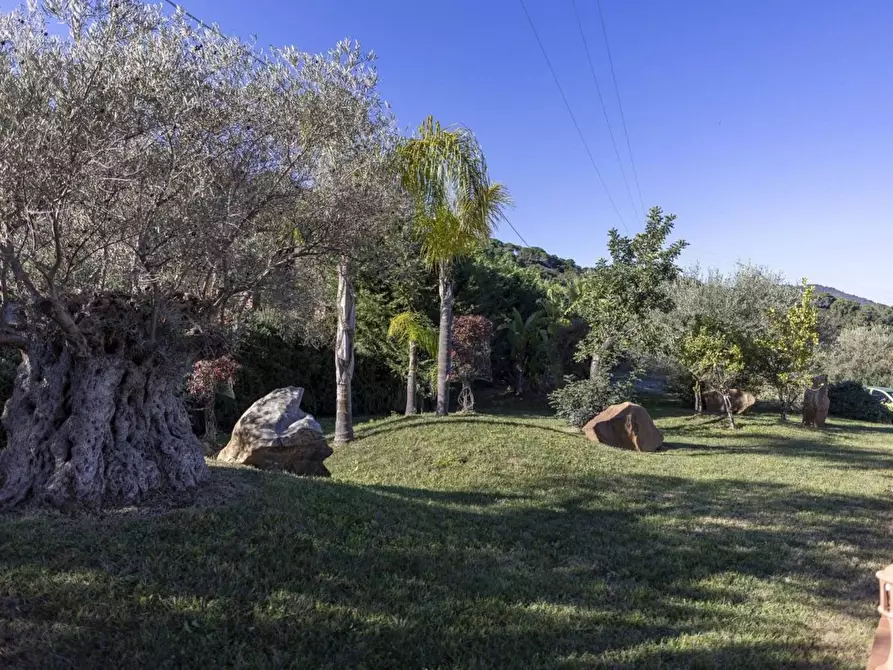 Immagine 16 di Villa in vendita  in dell'Istrice a Cefalù