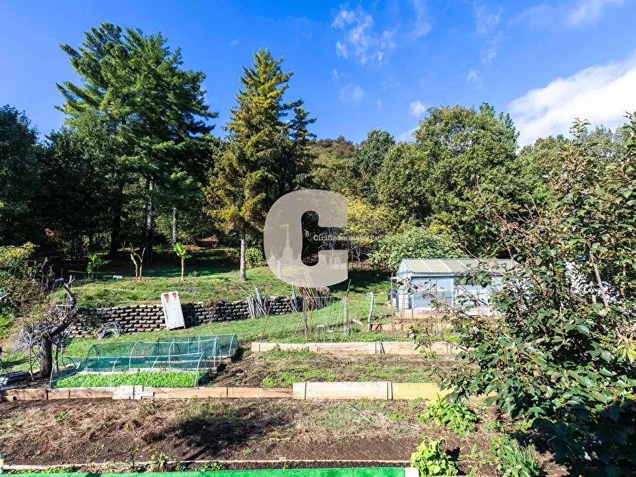 Immagine 19 di Villa in vendita  in rivasacco a Givoletto