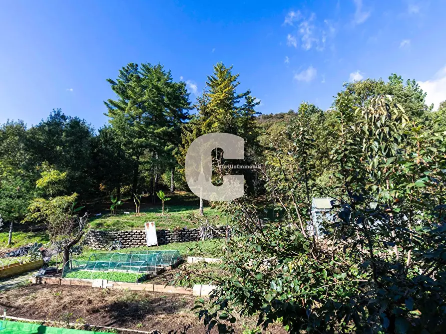 Immagine 20 di Villa in vendita  in rivasacco a Givoletto