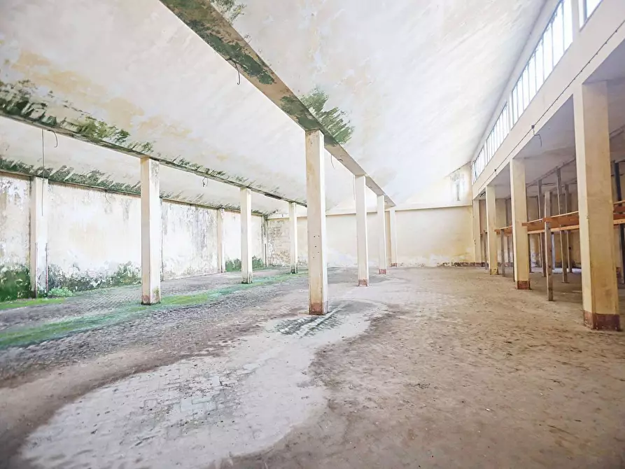 Immagine 17 di Villa in vendita  in F. Ferruccio a Squinzano