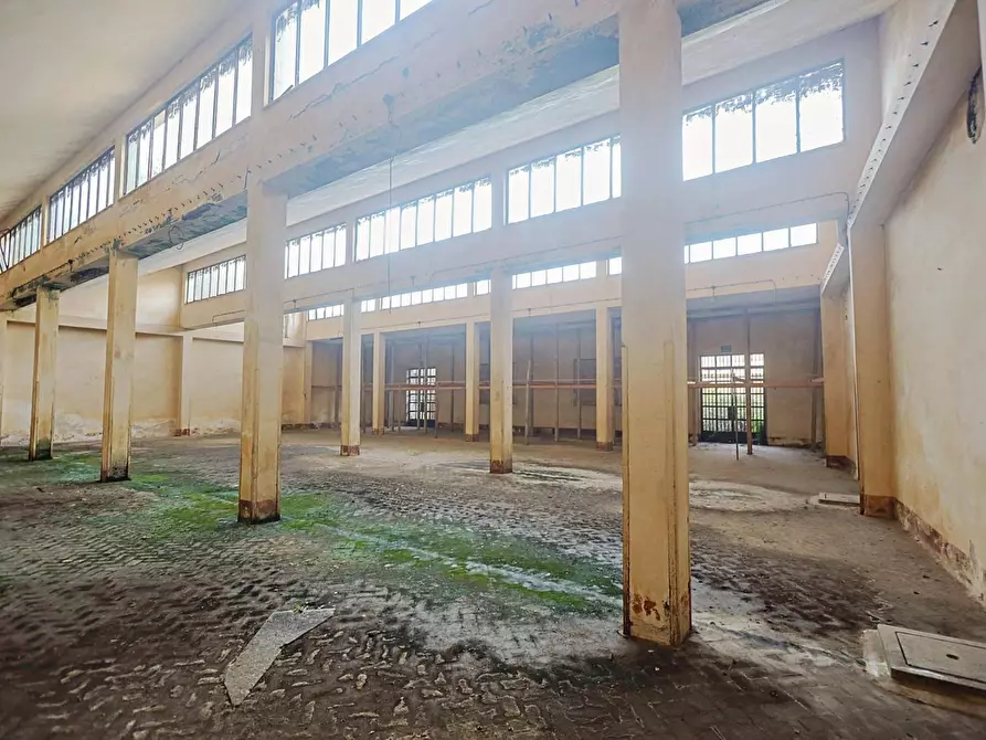 Immagine 16 di Villa in vendita  in F. Ferruccio a Squinzano