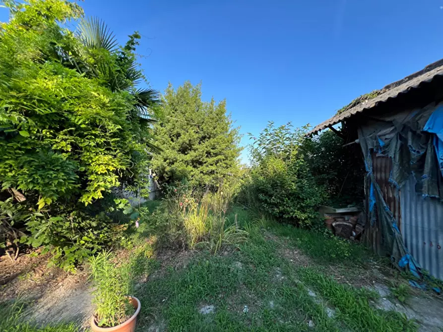 Immagine 25 di Villetta a schiera in vendita  in strada collina serra a Gassino Torinese