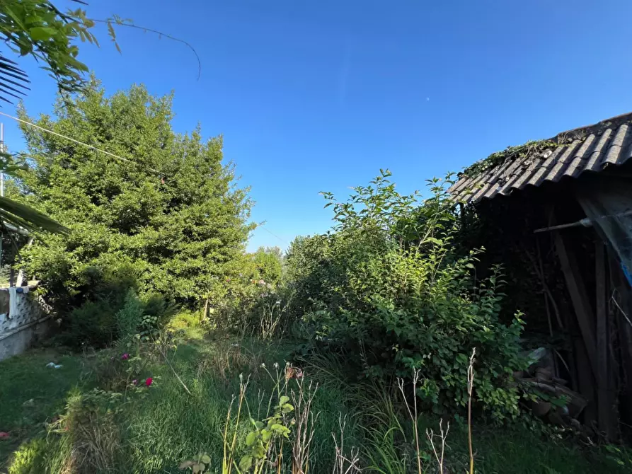 Immagine 24 di Villetta a schiera in vendita  in strada collina serra a Gassino Torinese