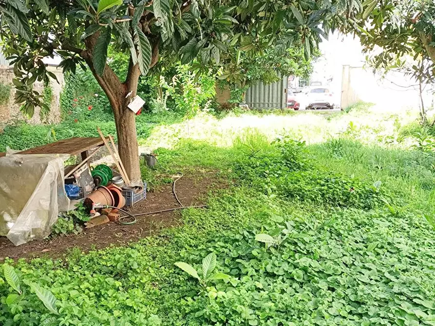 Immagine 21 di Negozio in vendita  in Via Elia Lombardini a Milano