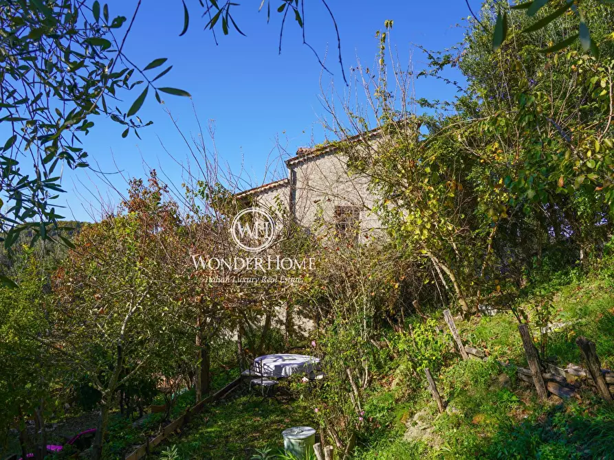 Immagine 26 di Rustico / casale in vendita  a Tortorella