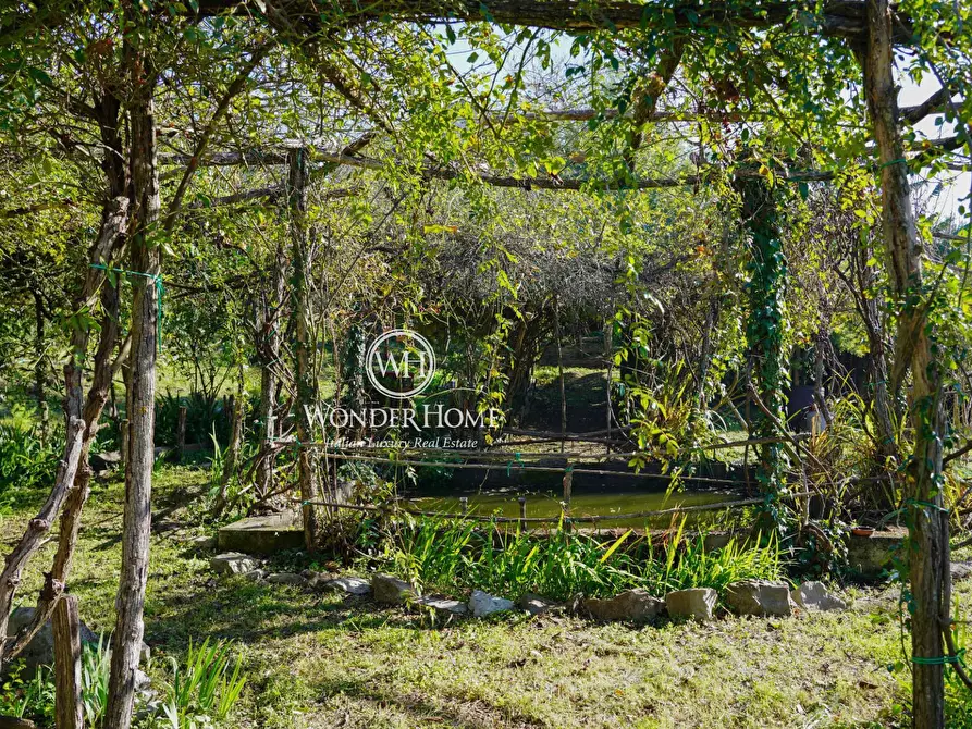 Immagine 30 di Rustico / casale in vendita  a Tortorella