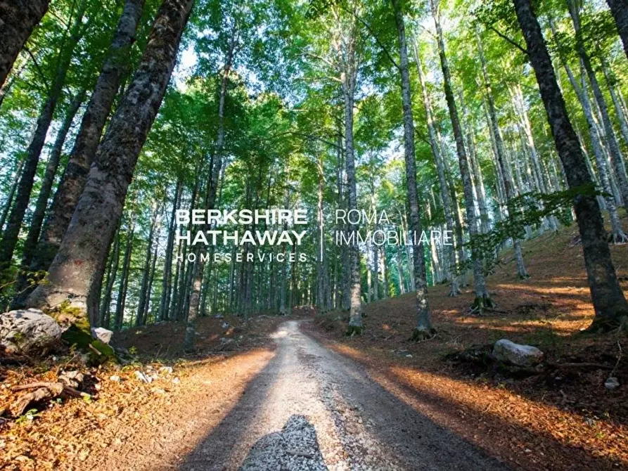 Immagine 23 di Multiproprietà in vendita  in dei Mille a Rutino