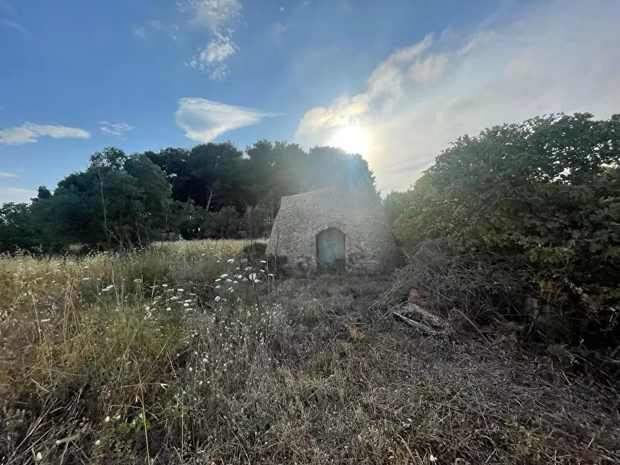 Immagine 20 di Terreno residenziale in vendita  in Lama a Taranto