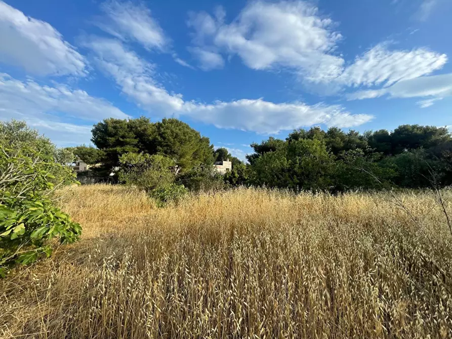 Immagine 23 di Terreno residenziale in vendita  in Lama a Taranto