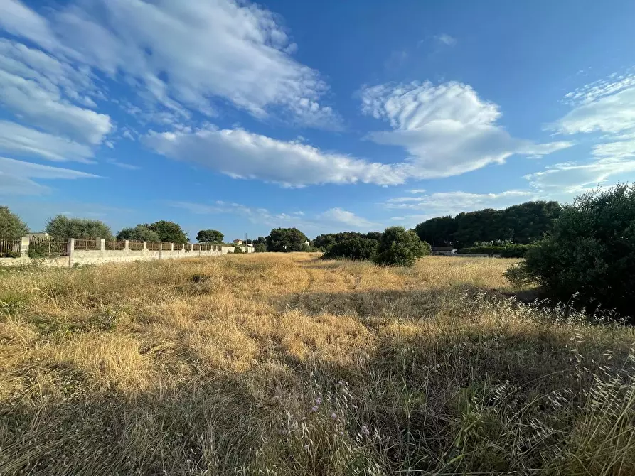 Immagine 24 di Terreno residenziale in vendita  in Lama a Taranto