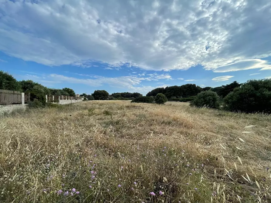 Immagine 26 di Terreno residenziale in vendita  in Lama a Taranto