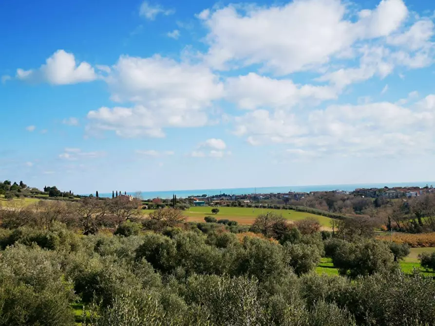 Immagine 4 di Rustico / casale in vendita  a Porto Sant'elpidio