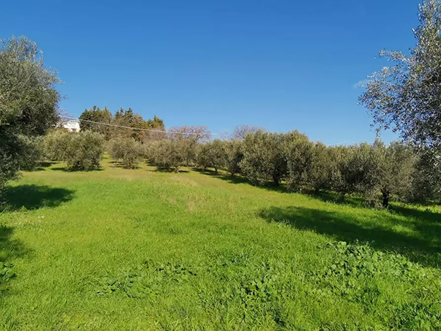 Immagine 7 di Rustico / casale in vendita  a Porto Sant'elpidio