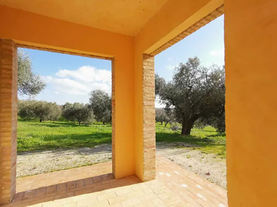 Immagine 8 di Rustico / casale in vendita  a Porto Sant'elpidio