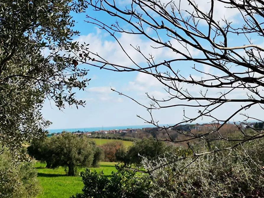 Immagine 27 di Rustico / casale in vendita  a Porto Sant'elpidio
