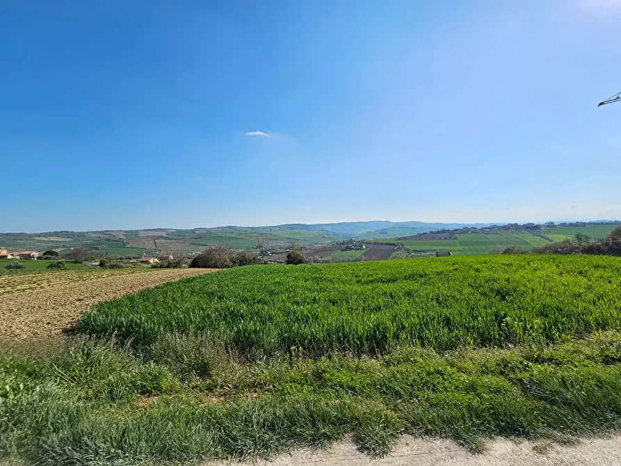 Immagine 2 di Villa in vendita  a Fermo