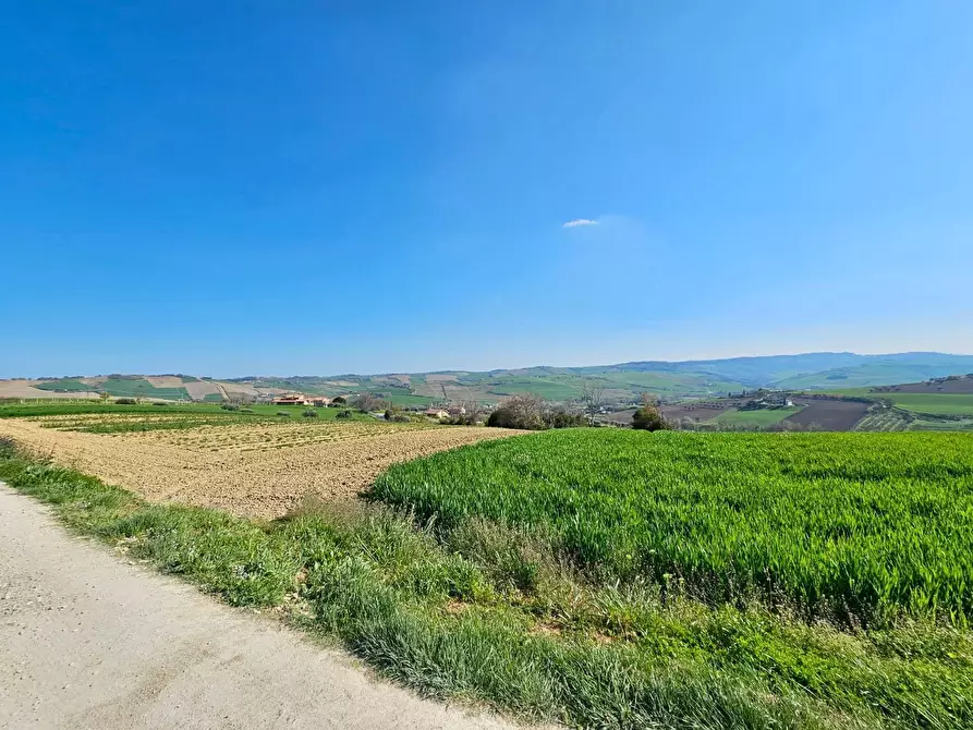 Immagine 6 di Villa in vendita  a Fermo