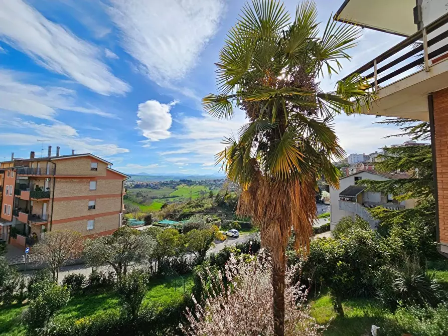 Immagine 10 di Appartamento in vendita  a Montegranaro