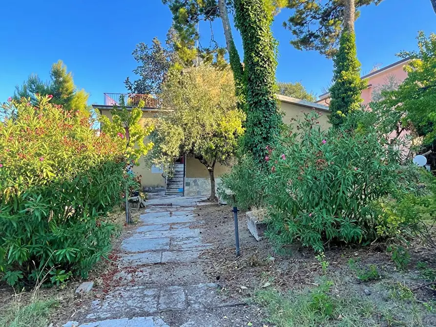 Immagine 5 di Villa in vendita  a Civitanova Marche