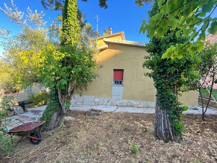 Immagine 13 di Villa in vendita  a Civitanova Marche