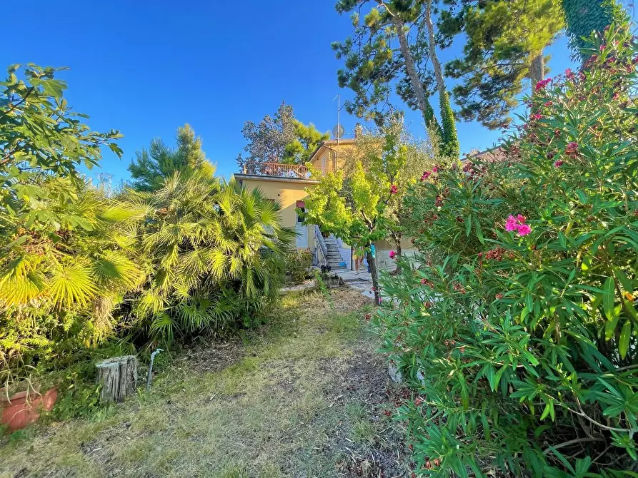 Immagine 12 di Villa in vendita  a Civitanova Marche