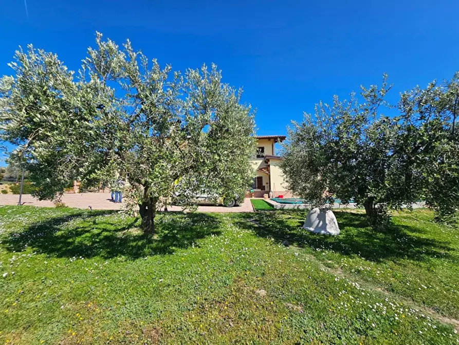 Immagine 9 di Villa in vendita  a Fermo