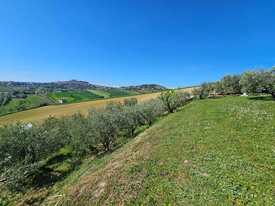 Immagine 17 di Villa in vendita  a Fermo