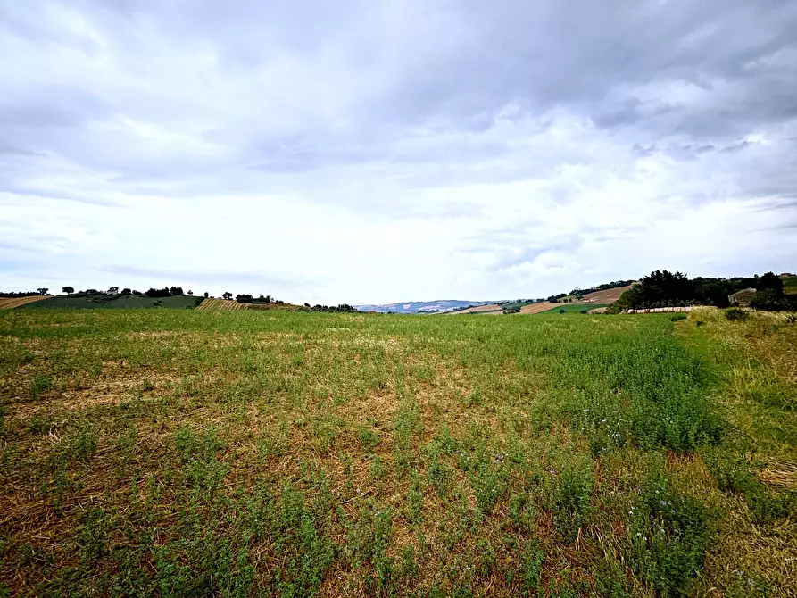 Immagine 1 di Terreno agricolo in vendita  in contrada montefiore a Recanati