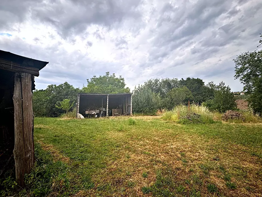 Immagine 5 di Rustico / casale in vendita  in contrada montefiore a Recanati