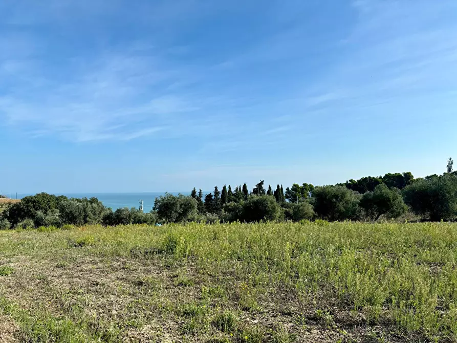 Immagine 1 di Terreno agricolo in vendita  a Grottammare