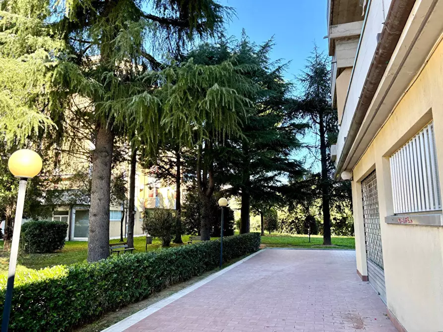 Immagine 17 di Appartamento in vendita  in via erasmo mari a Ascoli Piceno