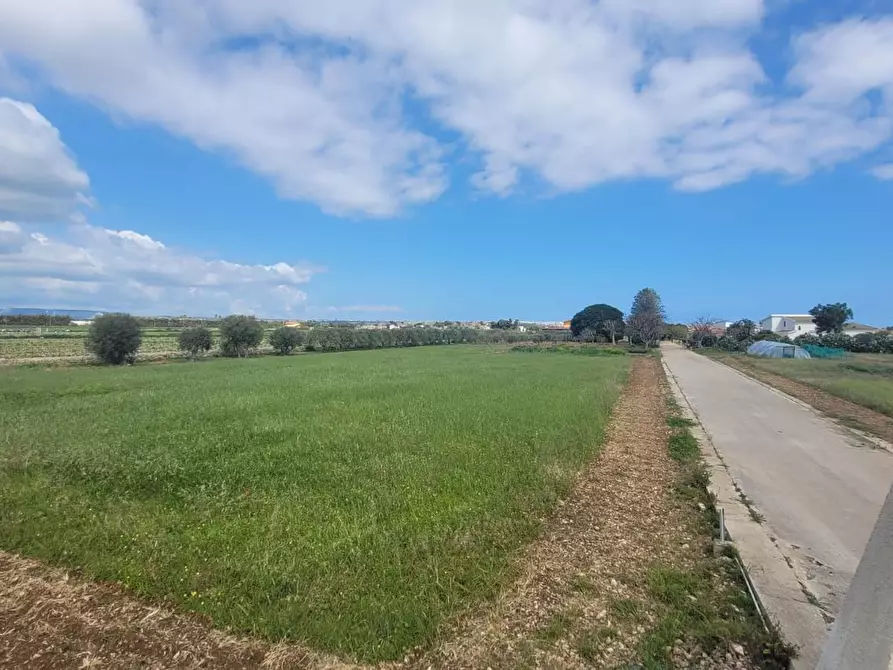 Immagine 5 di Terreno agricolo in vendita  in Strada Badia a Siracusa