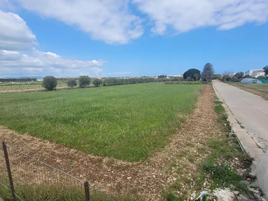 Immagine 4 di Terreno agricolo in vendita  in Strada Badia a Siracusa
