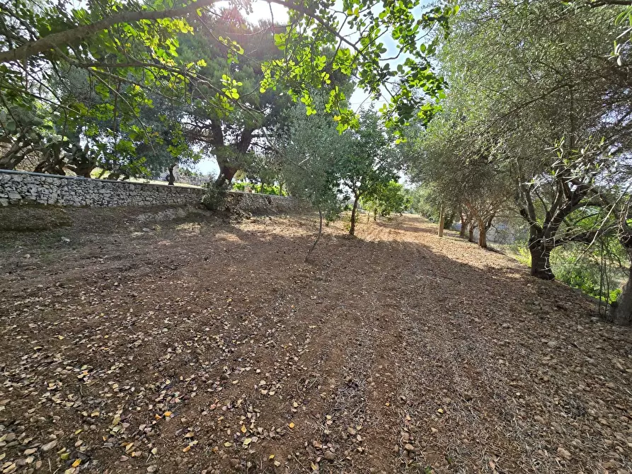 Immagine 2 di Rustico / casale in vendita  in CUGNI STALLAINI a Noto