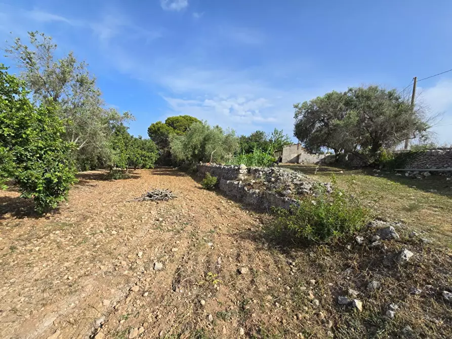 Immagine 4 di Rustico / casale in vendita  in CUGNI STALLAINI a Noto