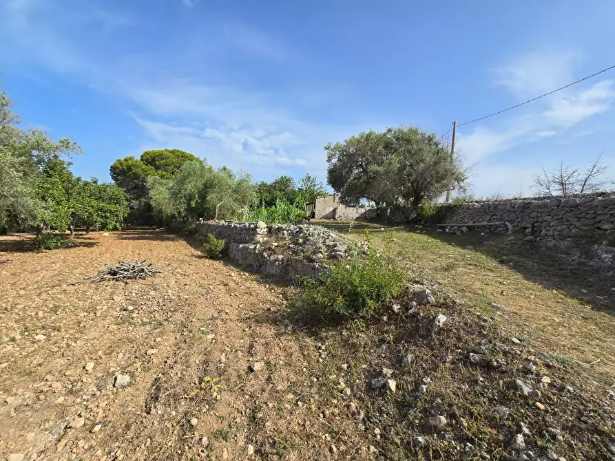 Immagine 5 di Rustico / casale in vendita  in CUGNI STALLAINI a Noto